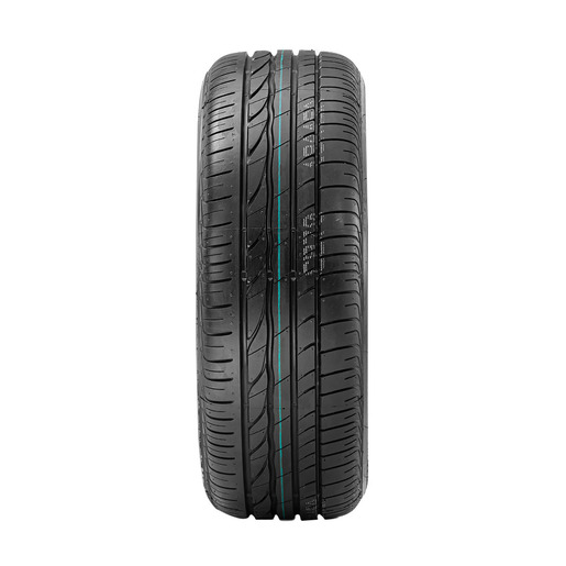 Pneu Bridgestone Aro 16 Turanza ER300 205/55R16 91V